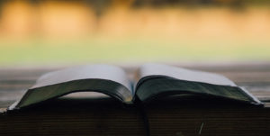 photography of an open book