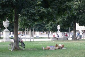 people relaxing in a park