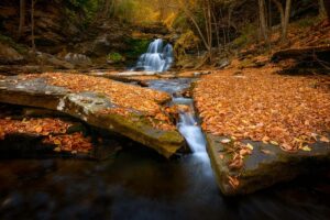 a stream in the middle of the forest during autumn