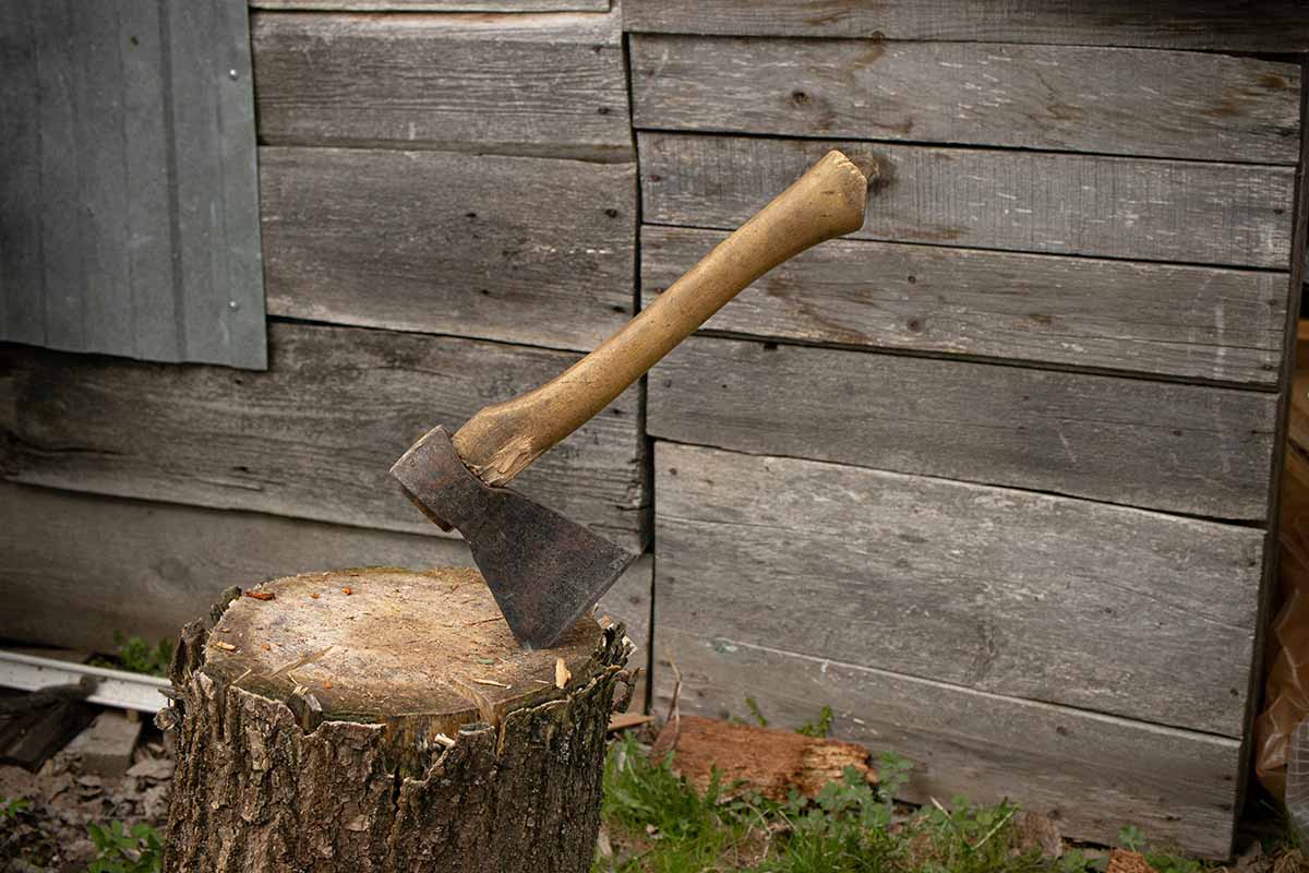 axe - Low Two Pair an axe planted in a stump