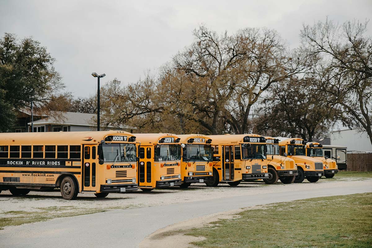 school-buses - Low Two Pair school buses lined up waiting for students