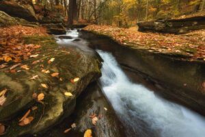 a stream running through an autumn forest