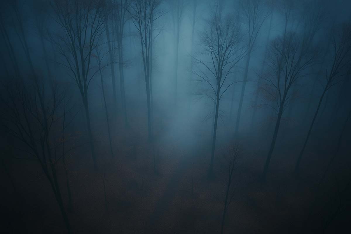 Soft fog drifting through dark trees in twilight, evoking mystery and the supernatural.