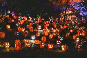a bunch of Jack o'lanterns in a field