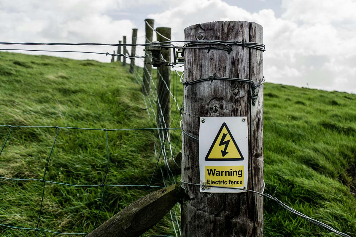 fence - Low Two Pair an electric fence in a field