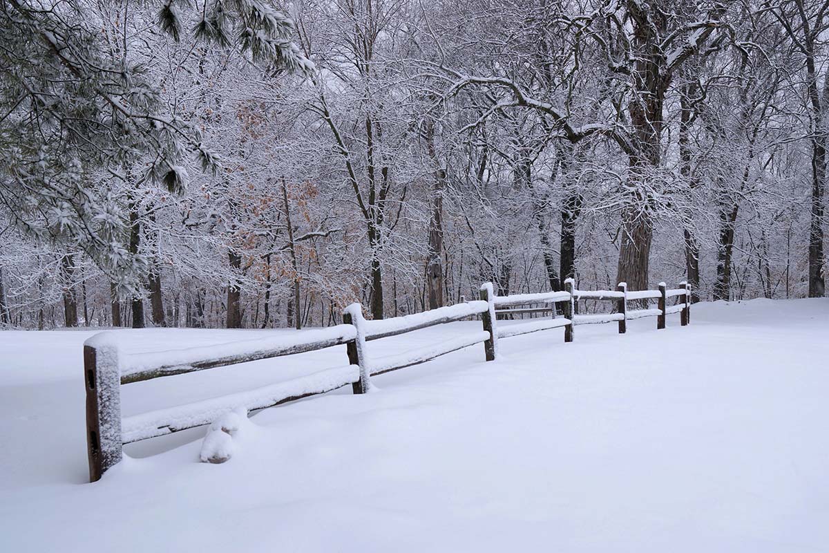 fresh-snow - Low Two Pair fresh snowfall on a wooden fence